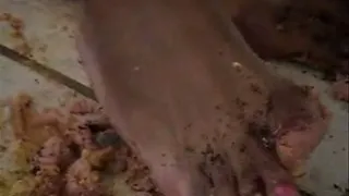 DIRTY FOOD FOR DUMB ASS SLAVE BOY