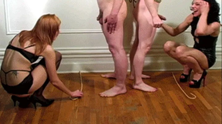 Testicle Tug-of-War I: