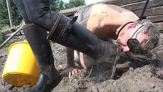 Muddy Boots licking pig humiliation - 2 - -HD