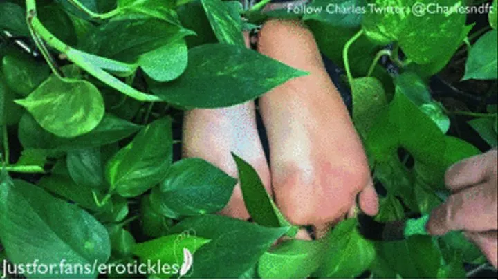 THE FORBIDDEN FRUIT - THE PLANT THAT GROWS TICKLISH FEET!