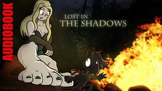 Lost In The Shadows 1 - A Medieval Fantasy Audiobook