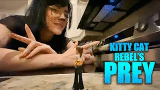 Kitty Cat Rebels Prey