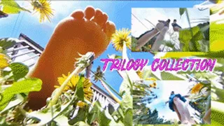 Unaware In A Dandelion Jungle EXTREME POV - Trilogy Collection -