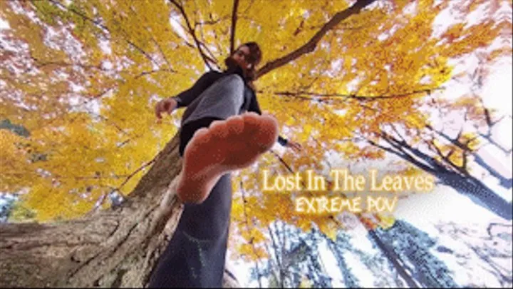 Lost In The Leaves EXTREME POV