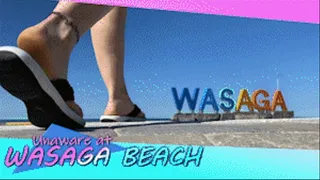 Unaware At Wasaga Beach