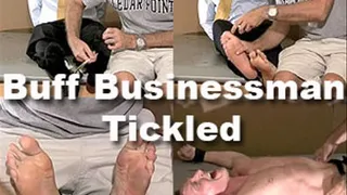 Gustav - Buff Businessman Tickled