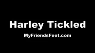 Personal Trainer Harley Tickled