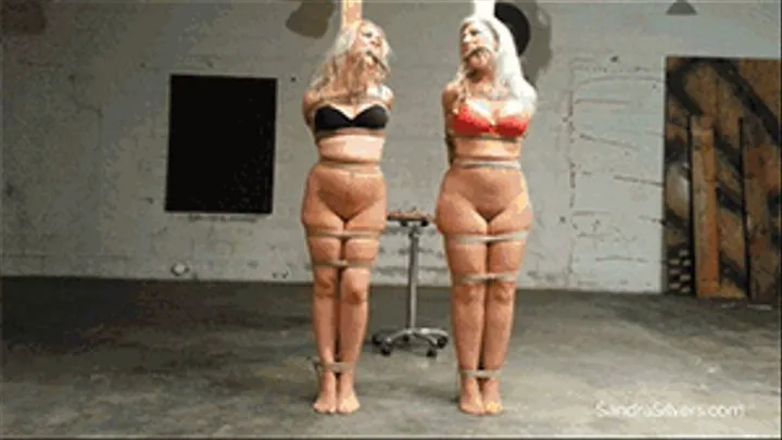 Whitney & Sandra-Pole Tied, Pantyhose-d MILF Playthings Set Severely Rope-Gagged On Screen! #1789