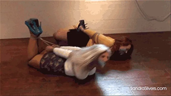 Two Ultra-Buxom Sweater-ed Secretaries Aggressive Gagged During a Dual Hogtie! #1686