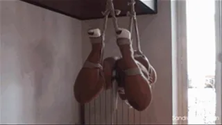 Suspended Open-Legged Hogtie and Orgasm Torment! #1459