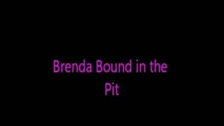 bb2 - Brenda in the Pit
