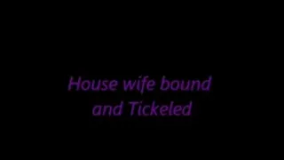 bb3 - House Wife Bound and Tickeled