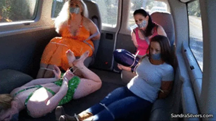 Multi-girl Damsels! A Variety Pack of 4 MILFs Bound in Zip Ties Taken for a Ride! 2622