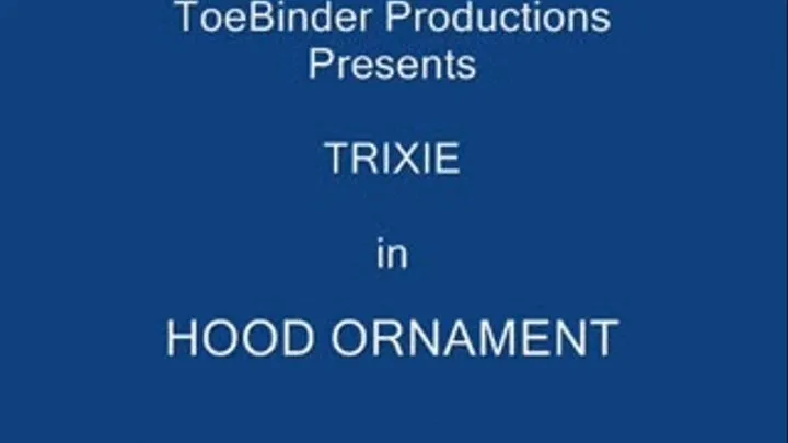 tbr - Trixie The Hood Ornament