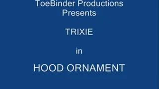 tbr - Trixie The Hood Ornament