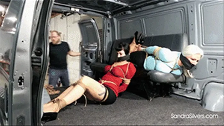 Buxom MILF Sweater Secretaries Tightly Tied, Wrap Gagged, Transported in the Van to their new domestic Position! Attempt Escape along the way! #2107