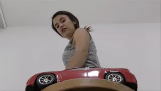 Margarita Crushes Red Car