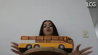 Debora Destroys Bus With Sevicia