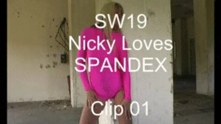 Nicky loves Spandex - The pink leotard