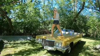 Land Yacht Dancing