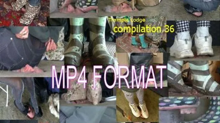 compilation 36