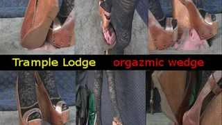 orgazmic wedge