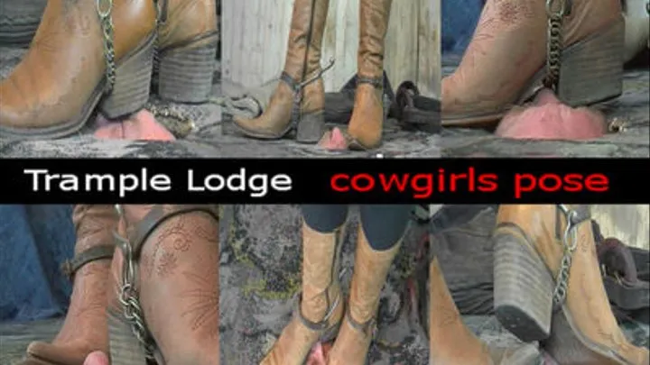 TRAMPLE LODGE