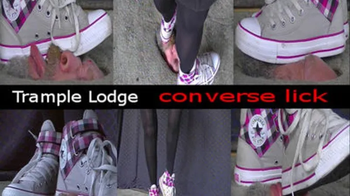 converse lick