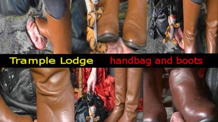 handbag and boots