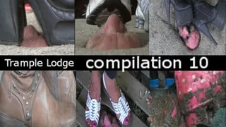 compilation 10