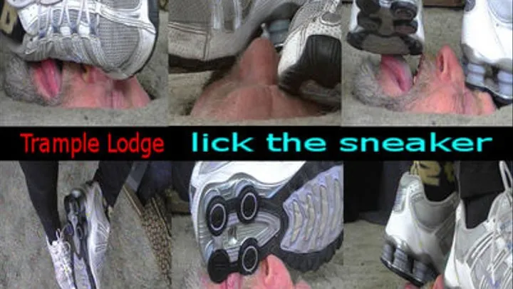 lick the sneaker