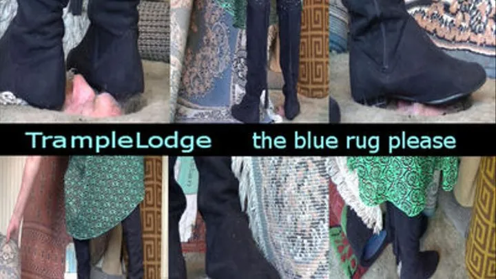 the blue rug please