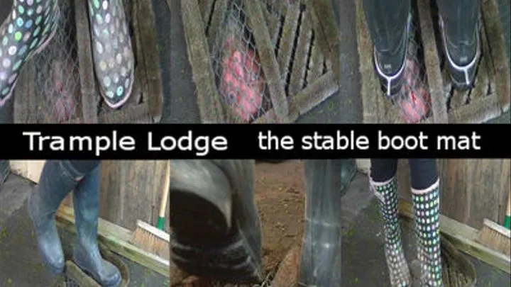 the stable boot mat