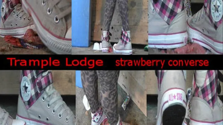 strawberry converse