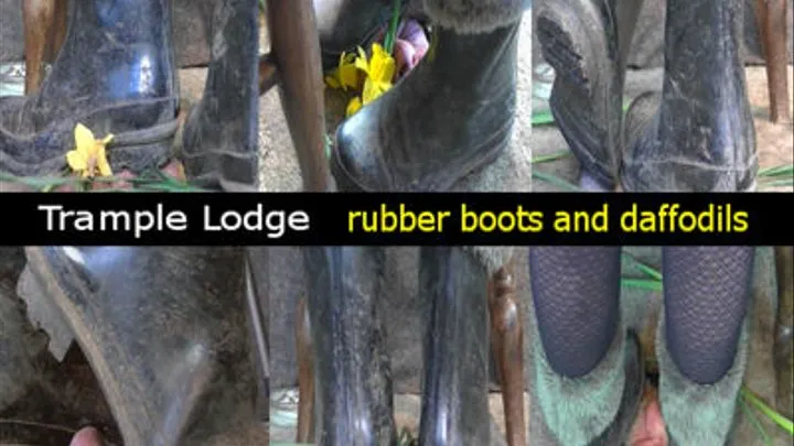 rubber boots and daffodils