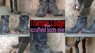 the scruffiest boots ever!