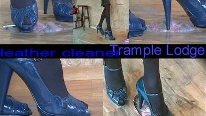 leather cleaner