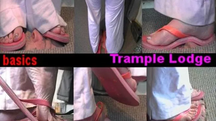 TRAMPLE LODGE