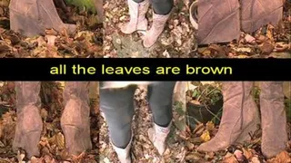 all the leaves are brown