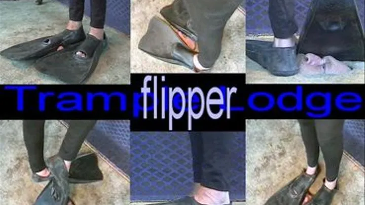 flipper