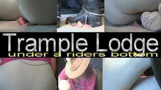 under a riders bottom