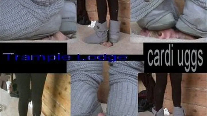 cardi uggs