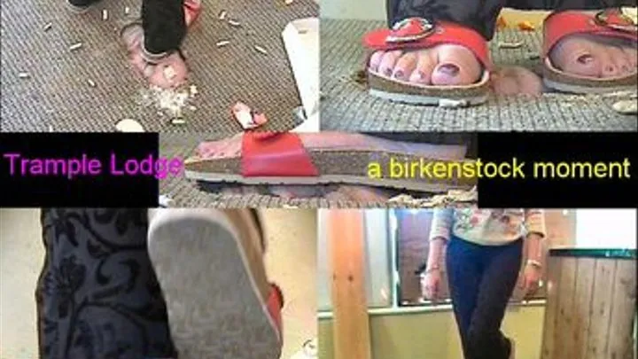 a birkenstock moment