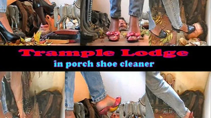 in porch shoe cleaner