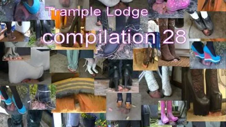 compilation 28