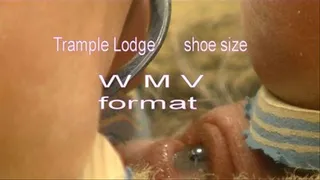 shoe size