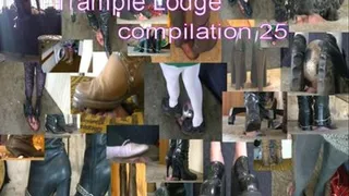 compilation 25