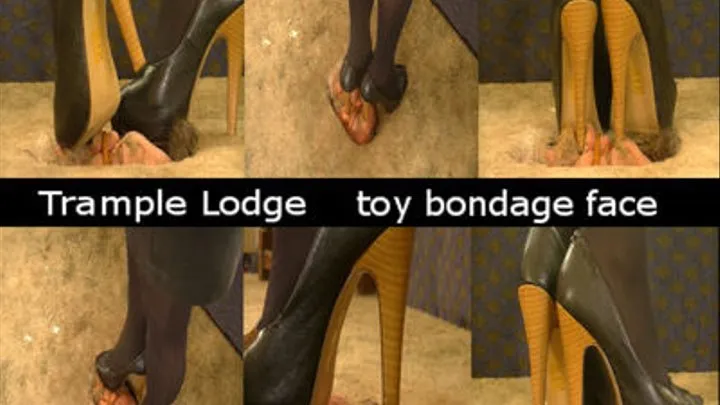 toy bondage face