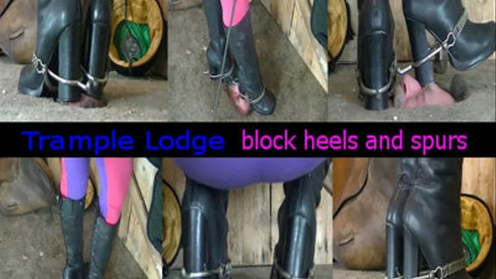 block heels and spurs