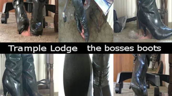 the bosses boots